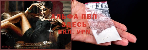 индика Пересвет