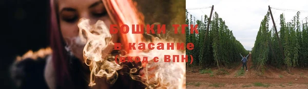 индика Пересвет