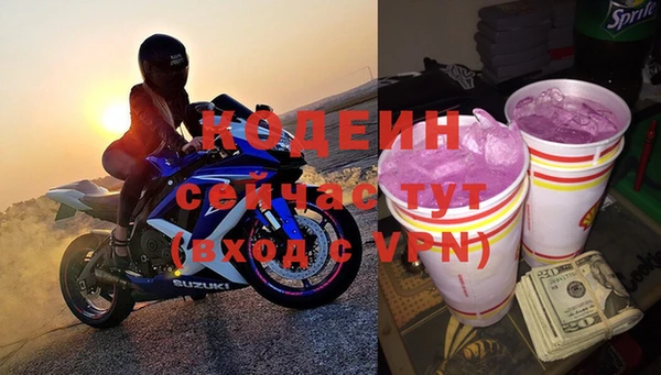 индика Пересвет