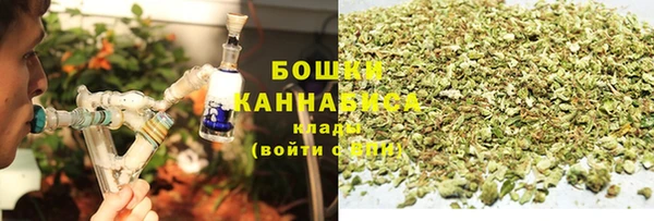 индика Пересвет